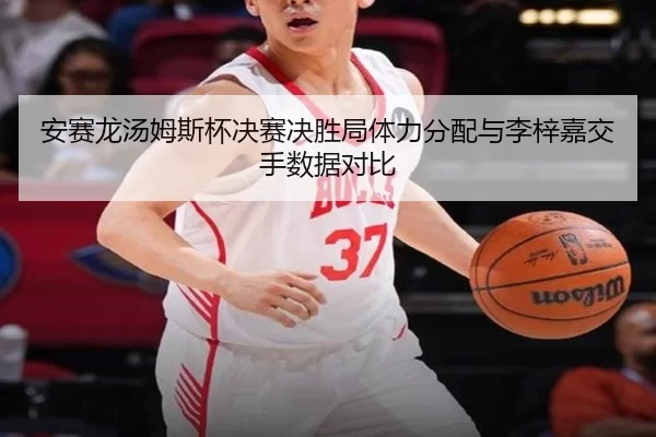 安赛龙汤姆斯杯决赛决胜局体力分配与李梓嘉交手数据对比